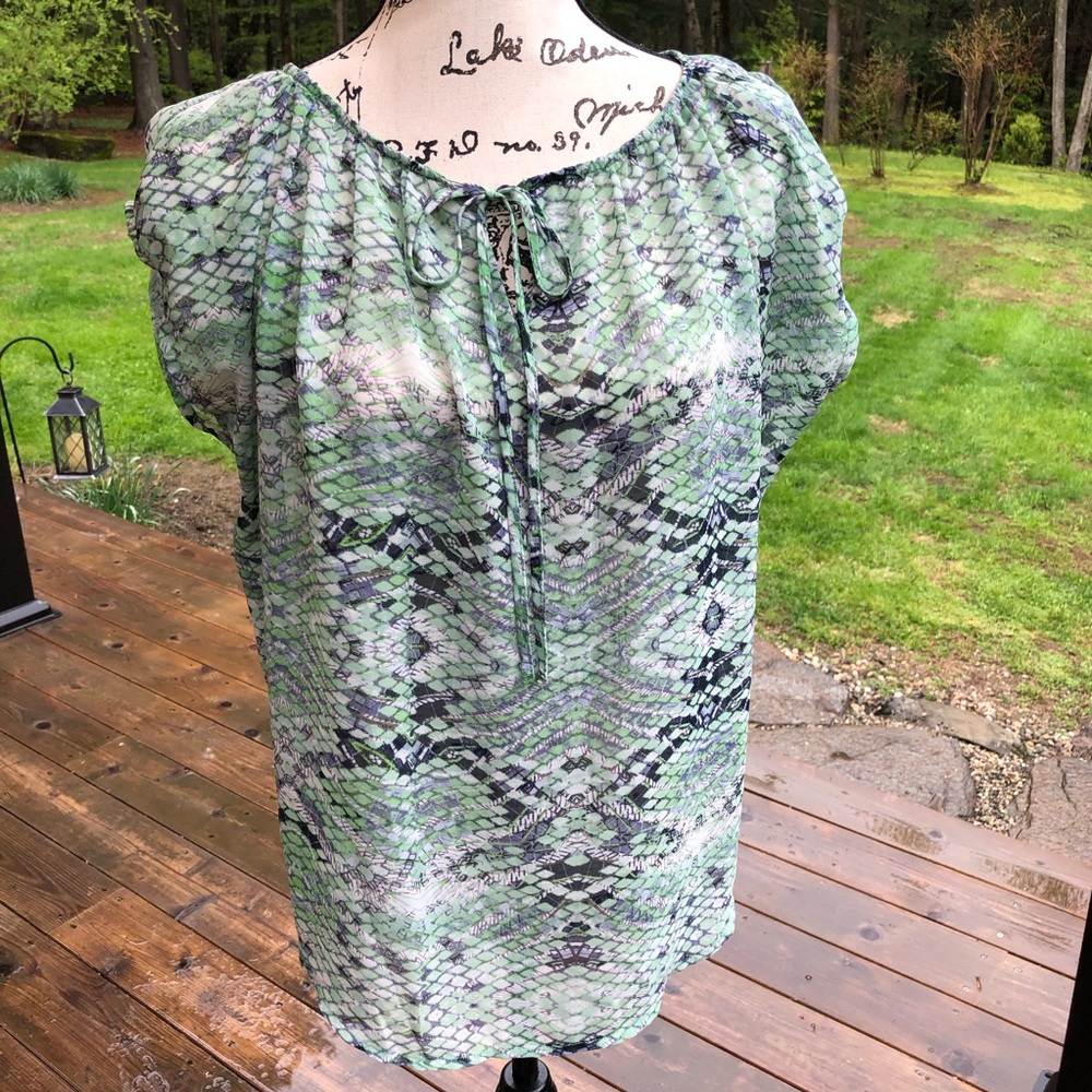 CAbi Green & Blue Darby Sheer Blouse